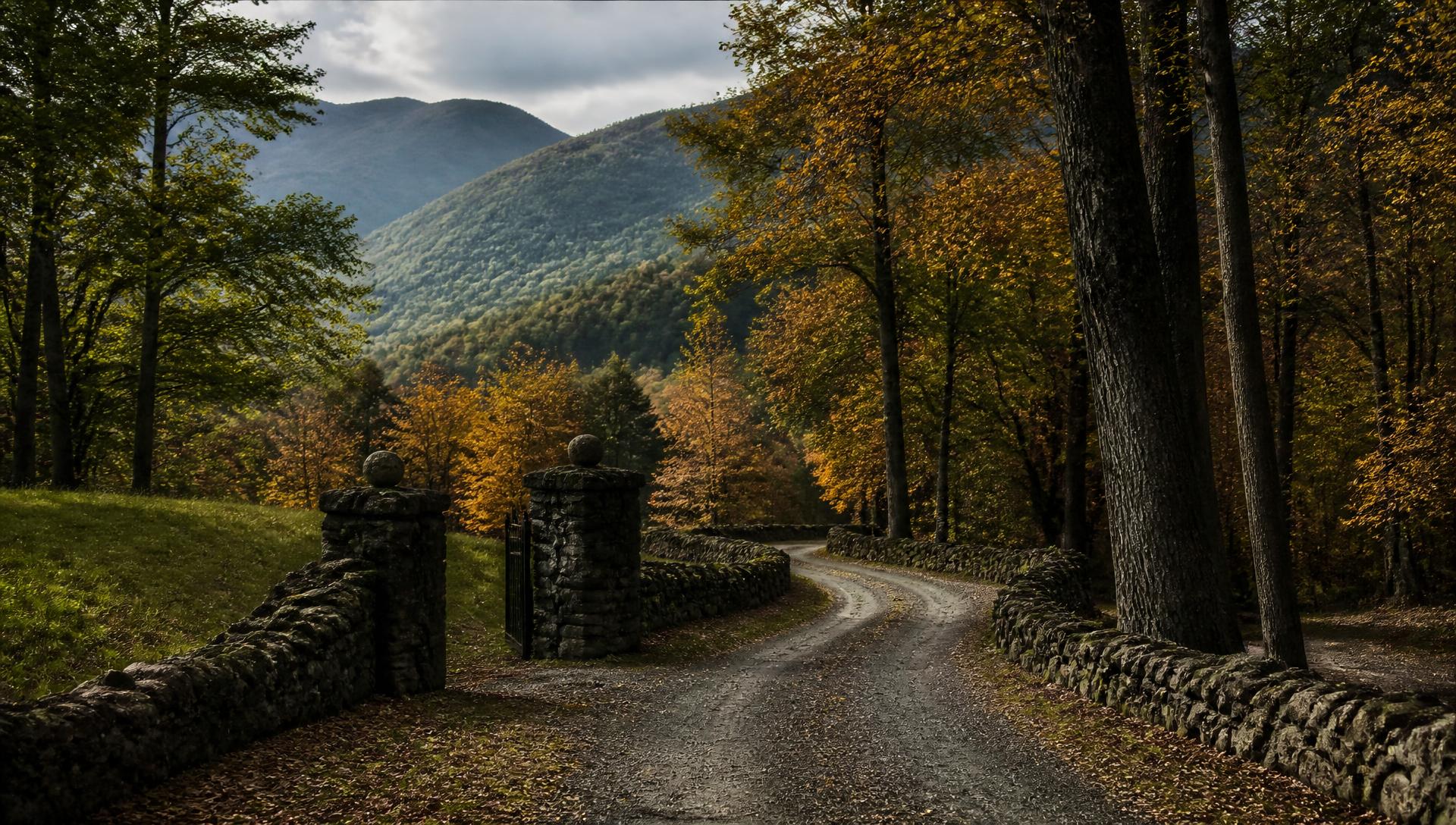 Gravel road winding into the forests of the Devotion estate