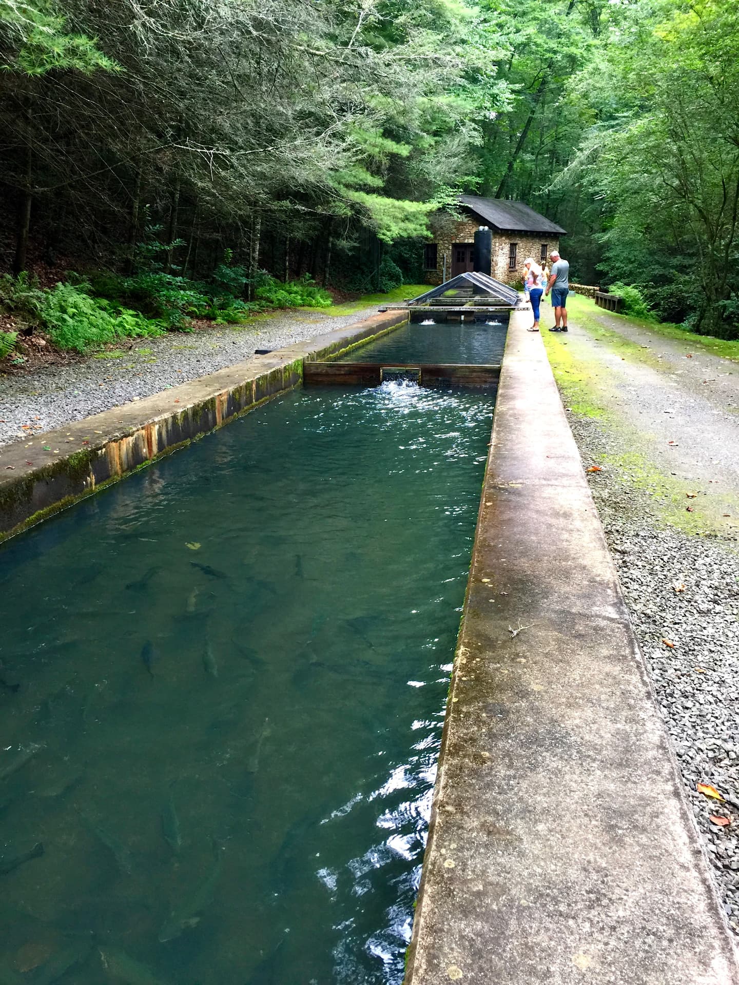 The stone hatchery house at the head of the long concrete trout raceways at Devotion, with visitors standing at the water's edge, 2017