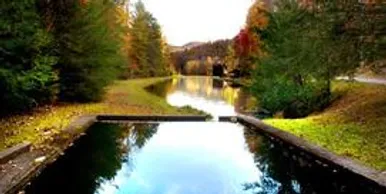 The concrete supply canal carrying water released from the hydroelectric dam toward the hatchery in autumn, flanked by turning hardwoods